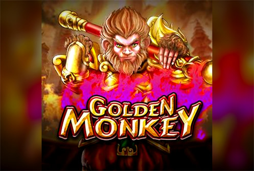 Golden Monkey